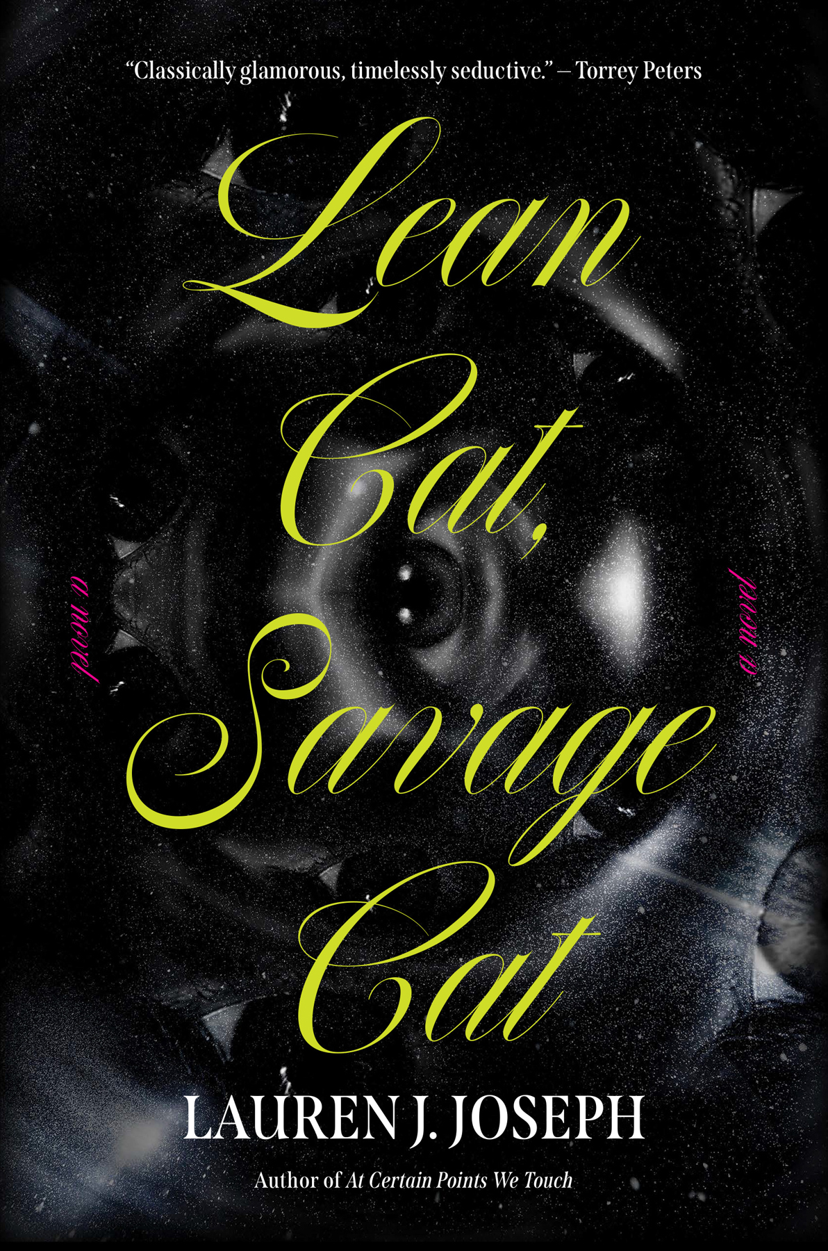 Lean Cat, Savage Cat