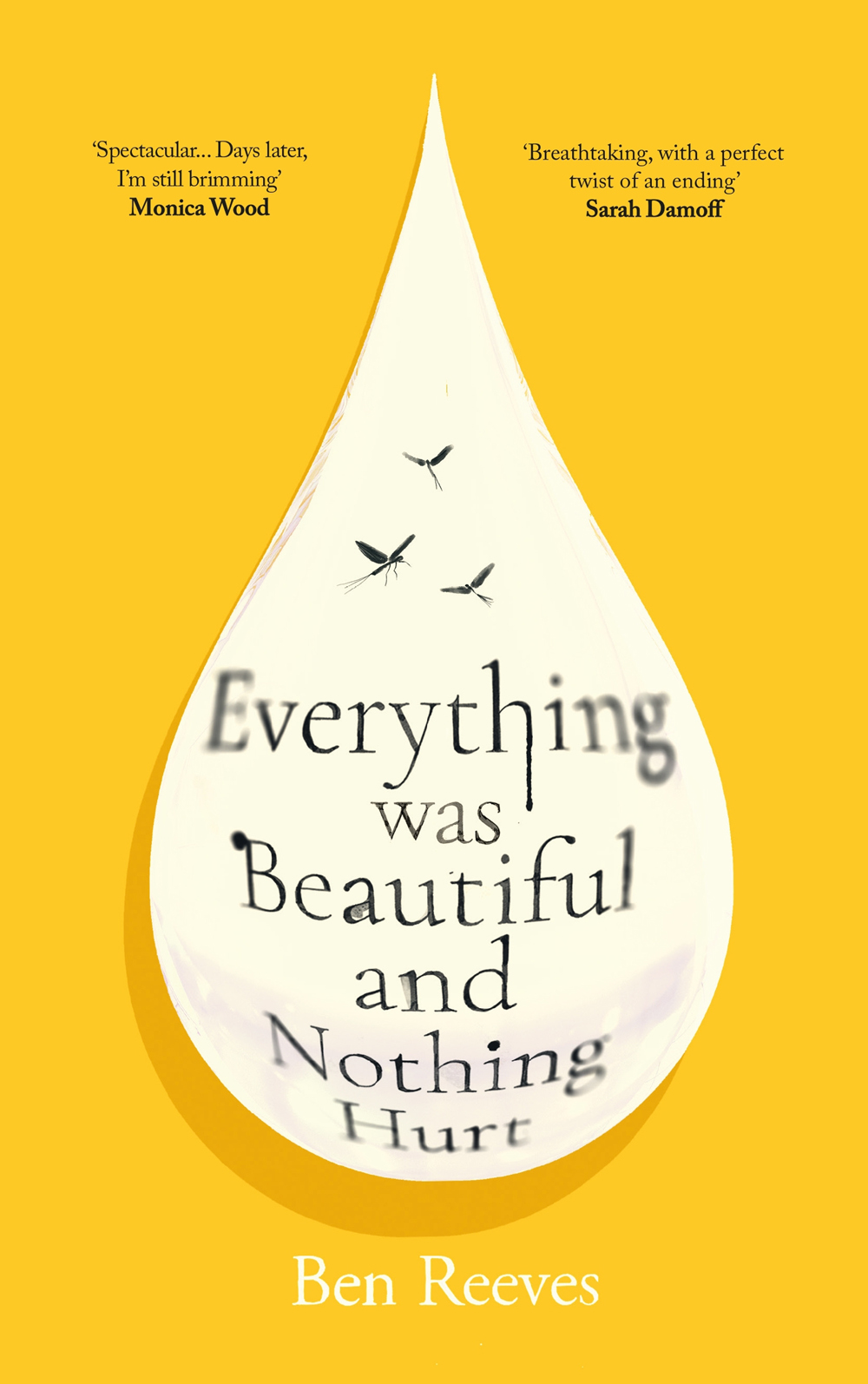 Everything Was Beautiful and Nothing Hurt